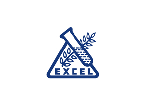excel